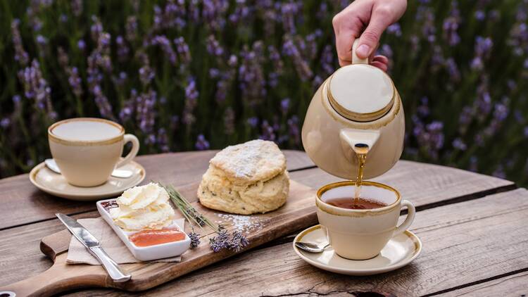 Enjoy lavender scones at Emu Bay