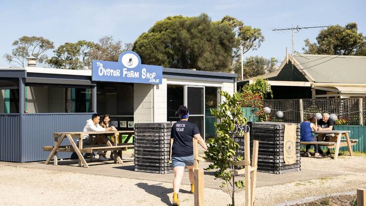 Taste a native oyster at The Oyster Farm Shop