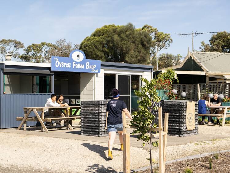 Taste a native oyster at The Oyster Farm Shop