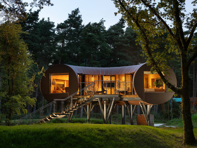 19 amazing UK treehouses you can actually stay in