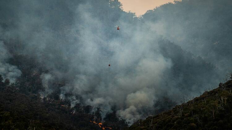 (imagem ilustrativa) Vários incêndios lavram desde domingo nas regiões Norte e Centro do país 