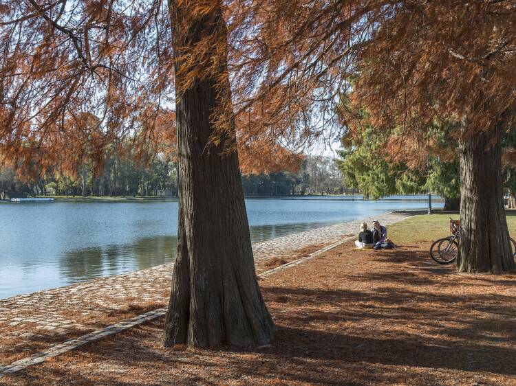 Ideal Places to Enjoy Mate Outdoors in Buenos Aires