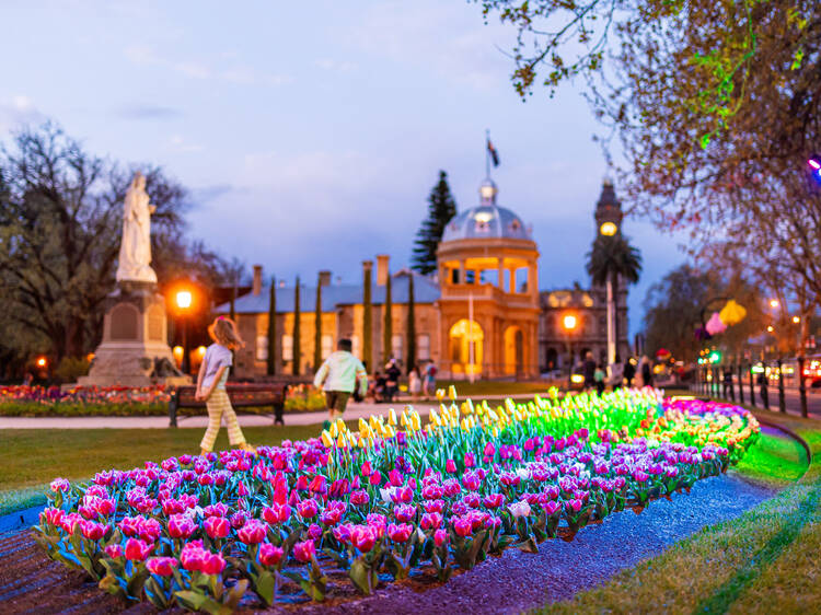 Bendigo Bloom