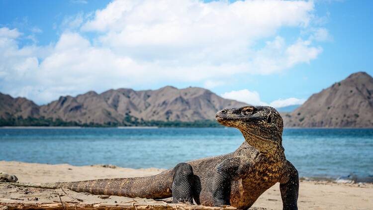 Komodo Islands