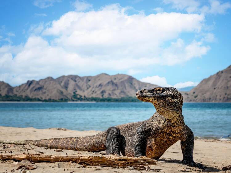 Komodo Islands