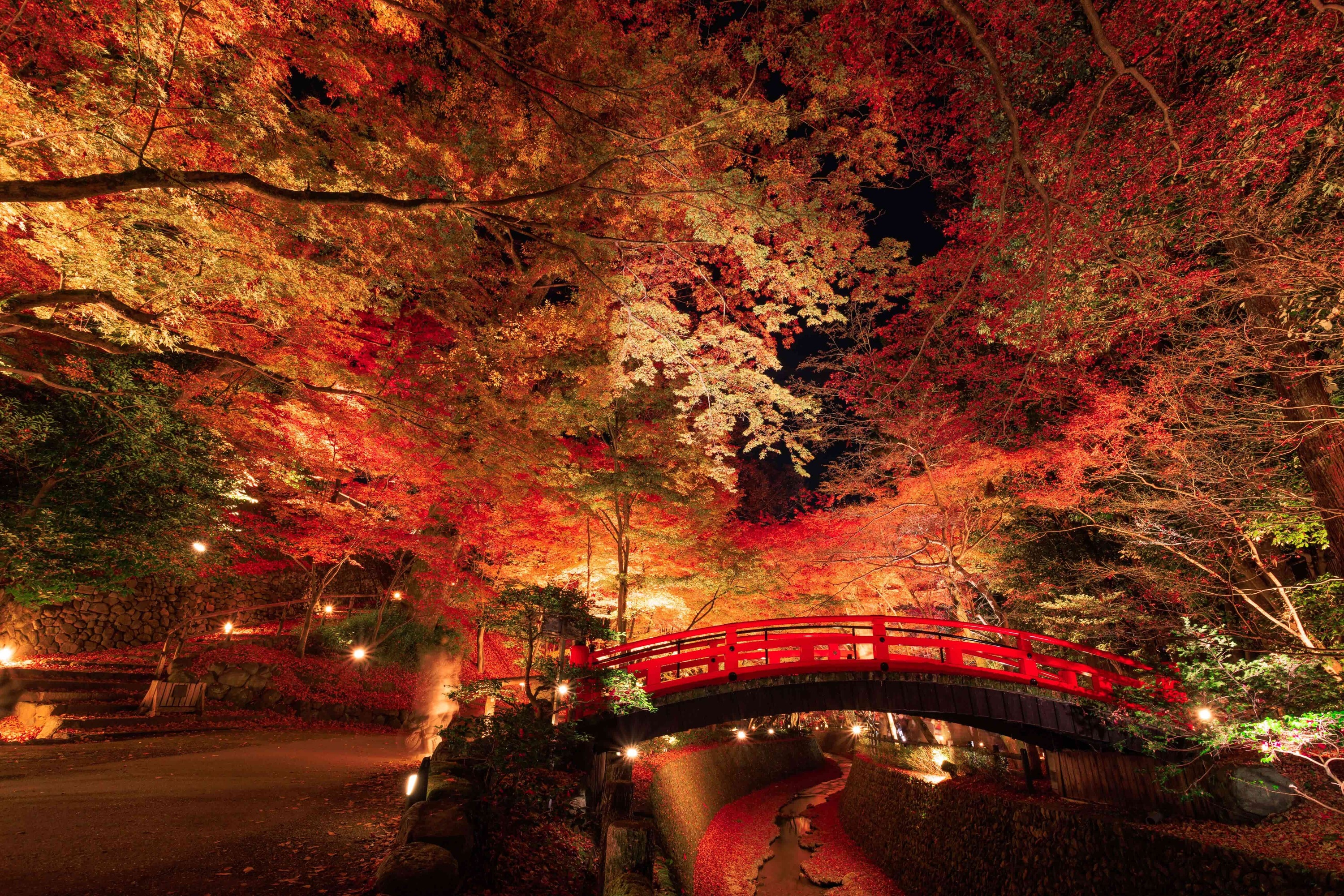 NAKED Kitano Tenmangu Shrine autumn 2024