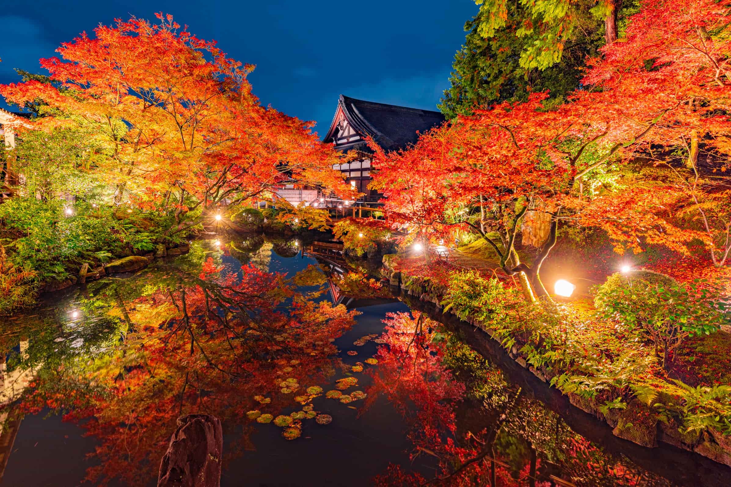 NAKED Kurodani, Konkai-Komyoji Temple autumn 2024