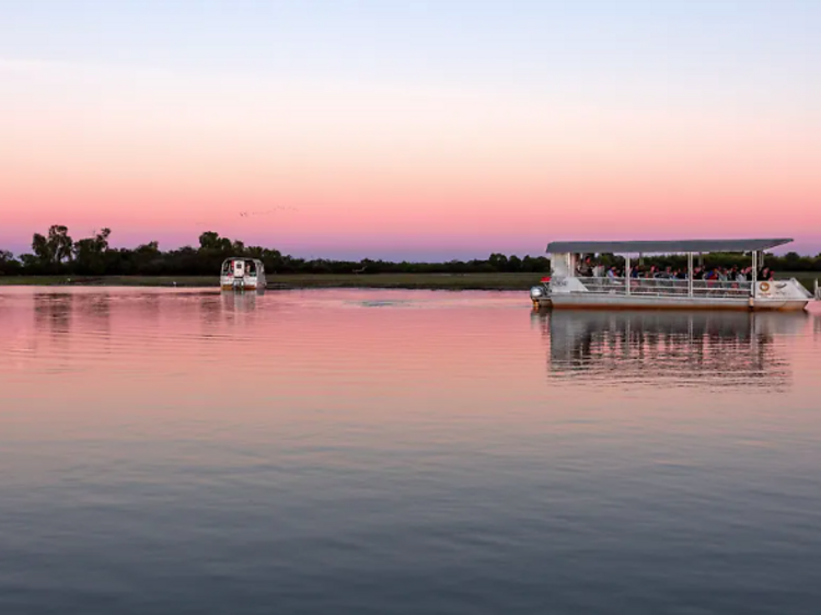 Yellow Water Cruise