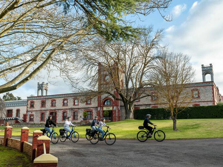 Cycle the Barossa Trail