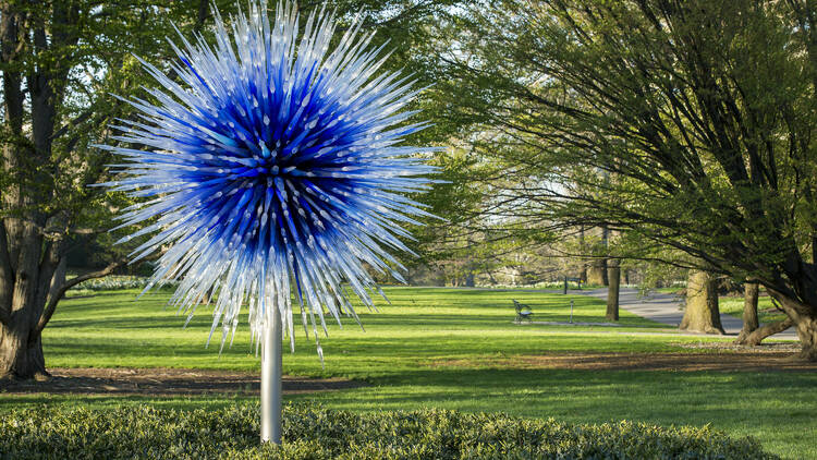 Glass dandelion sculpture in garden