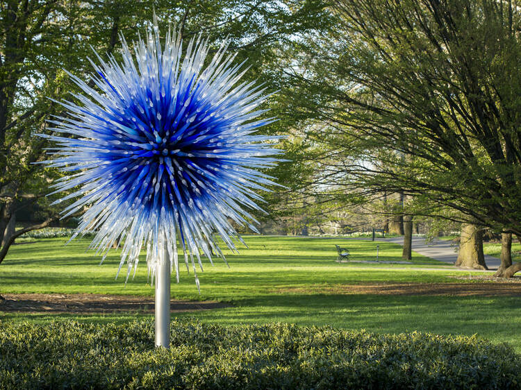 ‘Chihuly’s Garden Cycle’ at Adelaide Botanic Garden