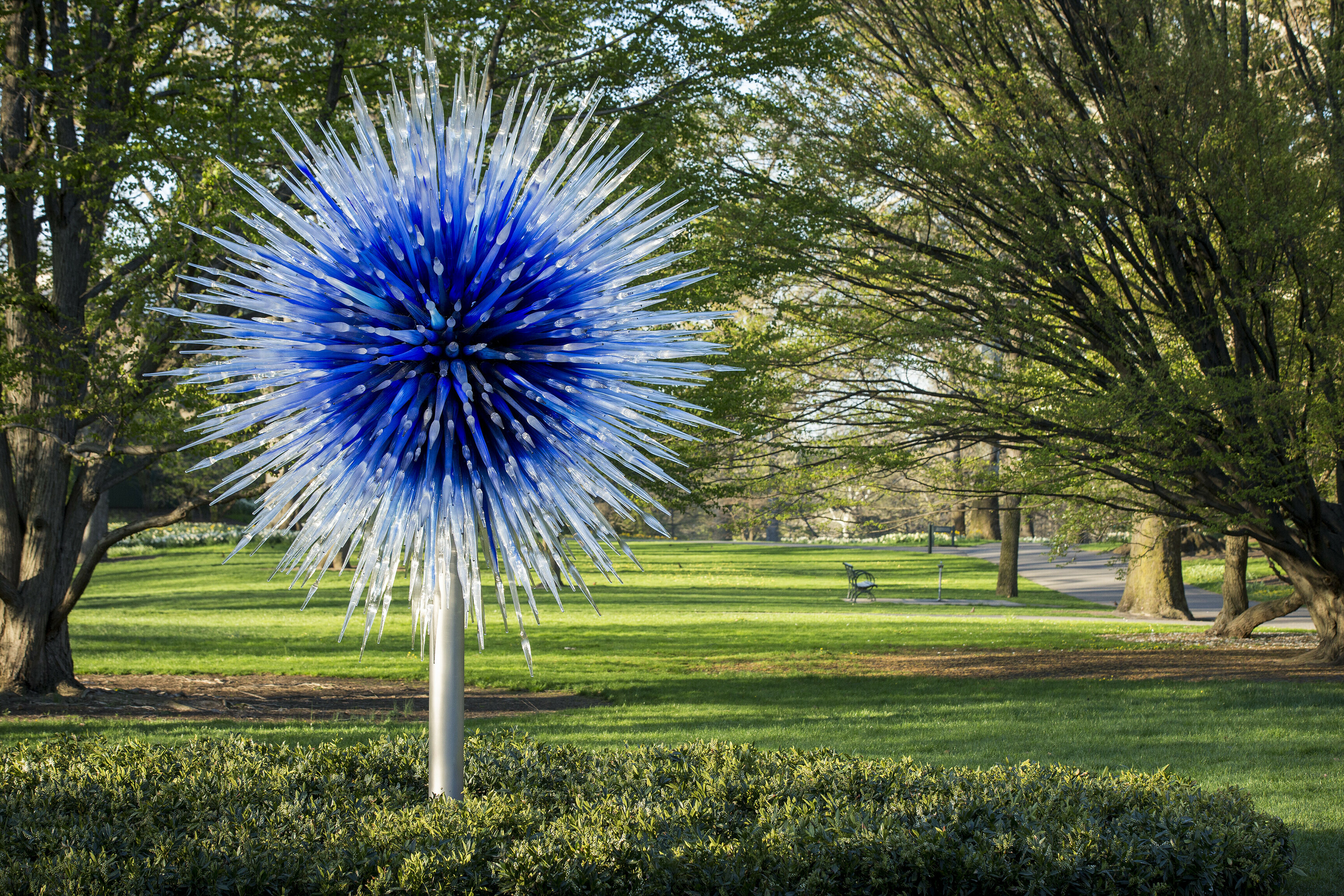 Adelaide scores with the exclusive Chihuly’s Garden Cycle exhibition