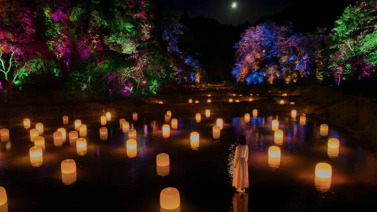 teamLab: Hidden Traces of Rice Terraces, Ibaraki, Izura