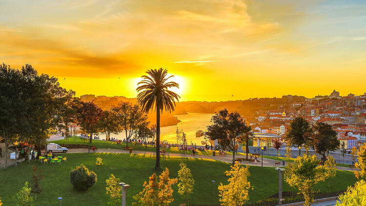 Jardim do Morro, Porto