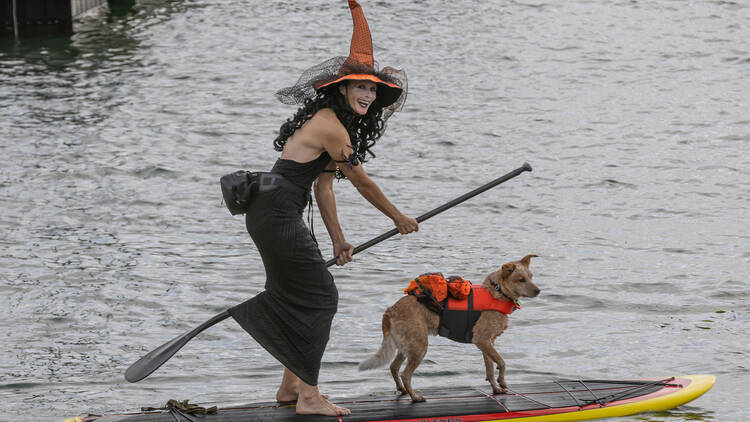 Morro Bay, CA: The Witches Paddle