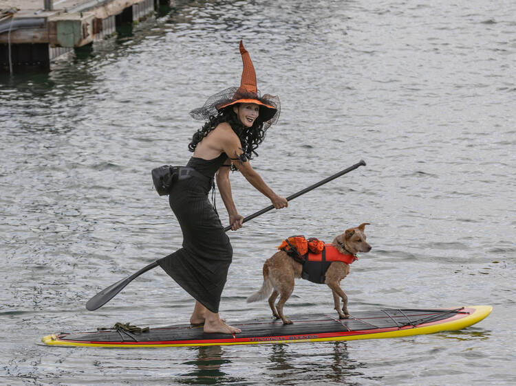 Morro Bay, CA: The Witches Paddle