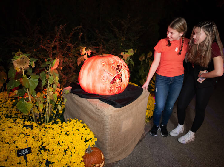 Chicago, IL: Night of 1,000 Jack-o'-Lanterns