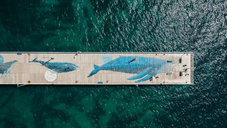 Aerial View of the Blue Whale Artwork on Busselton Jetty