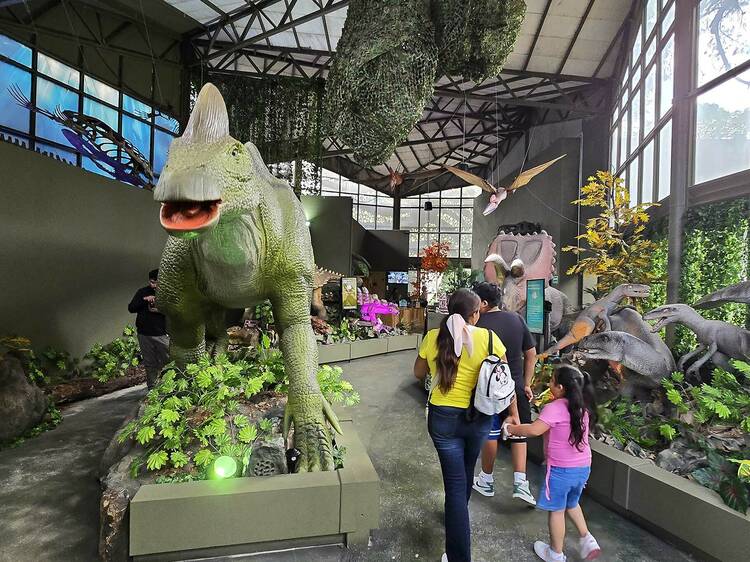 Familia en atracciones del Zoológico de Chapultepec