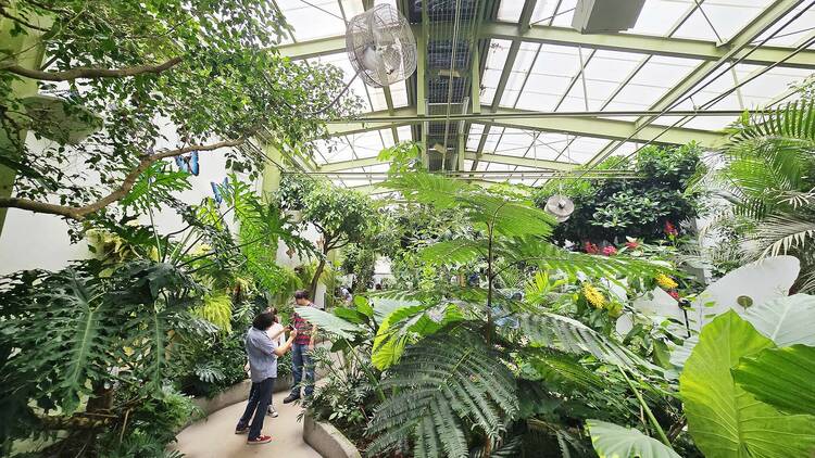 Mariposario e insectario