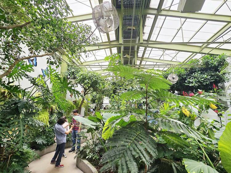 Mariposario e insectario