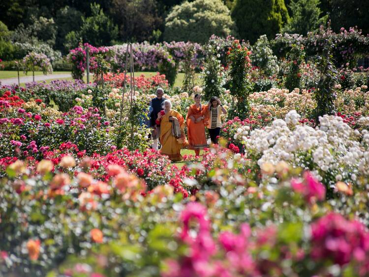 State Rose and Garden Show