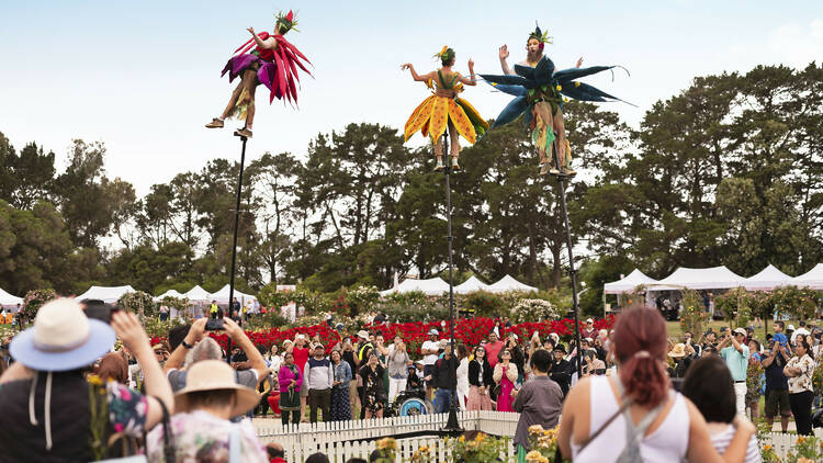 Aerial performers at a flower festival.