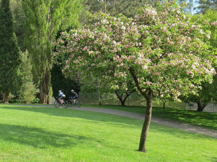 Cascade Gardens