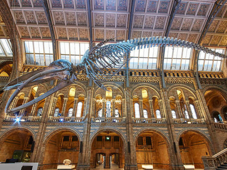 Natural History Museum