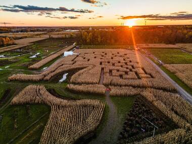 Get lost in a corn maze