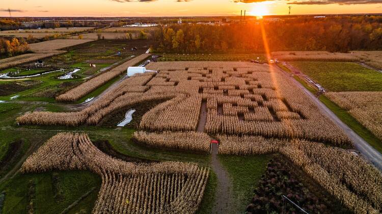 Les 11 meilleurs labyrinthes de maïs à explorer près de Montréal