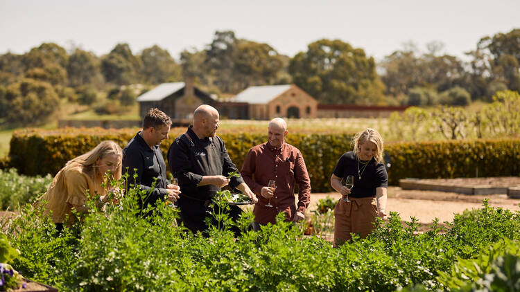 Forage for lunch in the vineyards of St Hugo