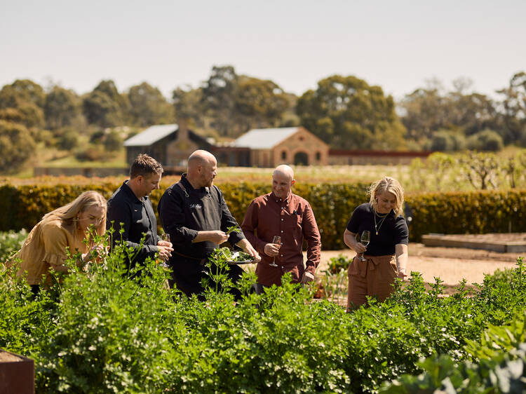 Forage for lunch in the vineyards of St Hugo