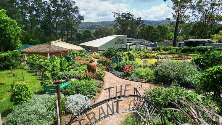 The garden at Distillery Botanica