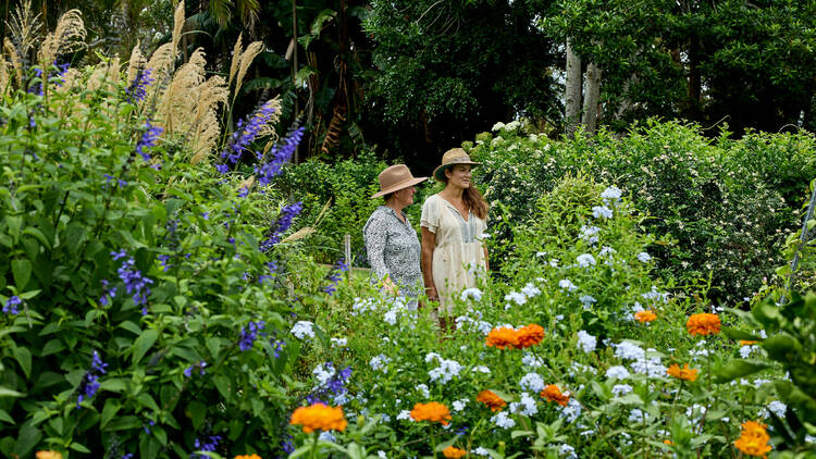 The garden at Distillery Botanica