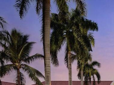 The 12 best hotels in Key West The 12 best hotels in Key West