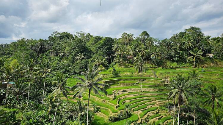 When's the best time to visit Bali?