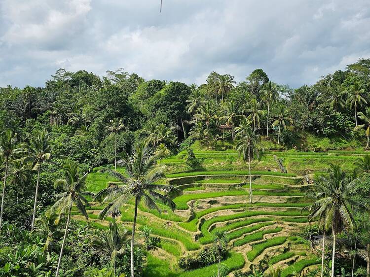 When's the best time to visit Bali?