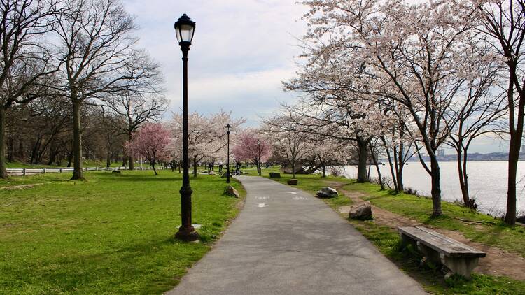 cherry walk path 