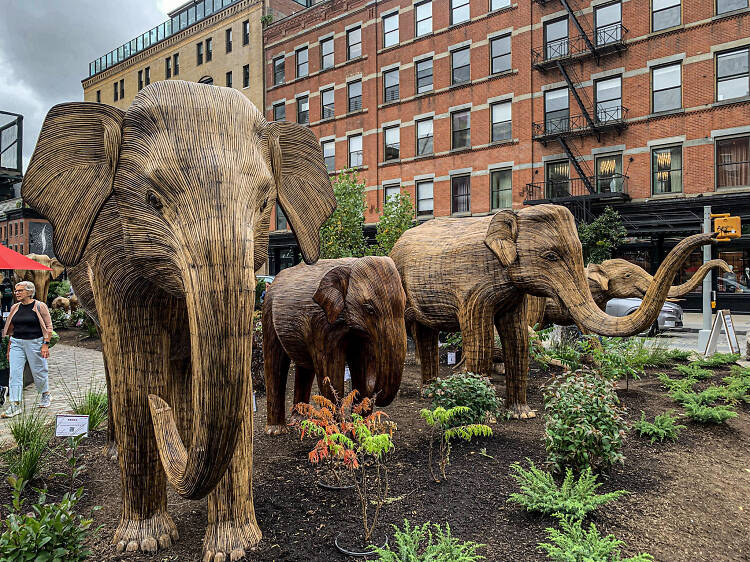 100 life-size elephants have taken over NYC