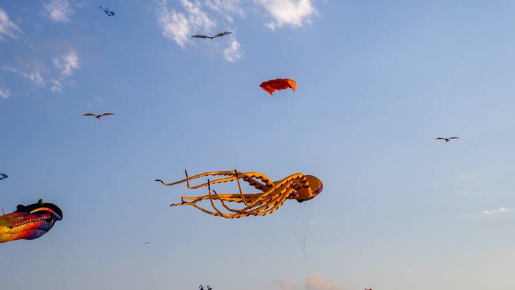 Kite Festival