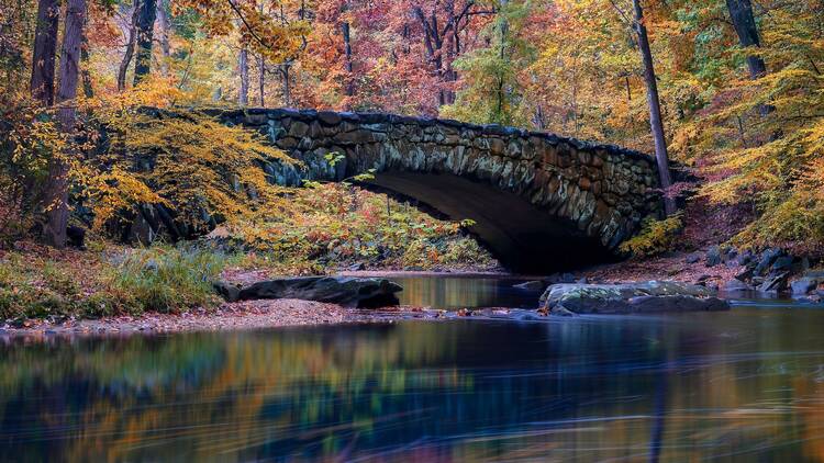 Rock Creek Park