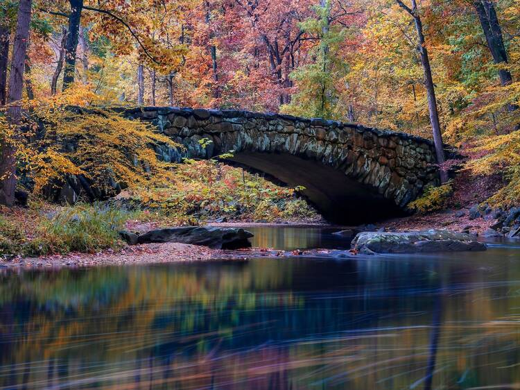 Rock Creek Park