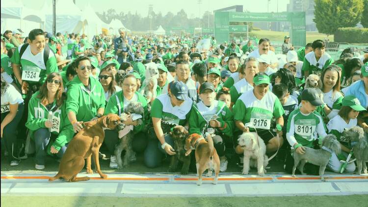 Participantes del Perrotón