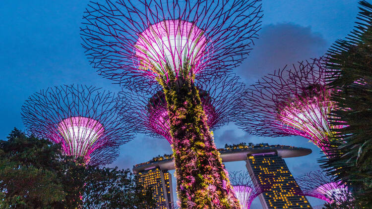 Gardens by the Bay