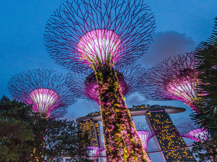 Gardens by the Bay