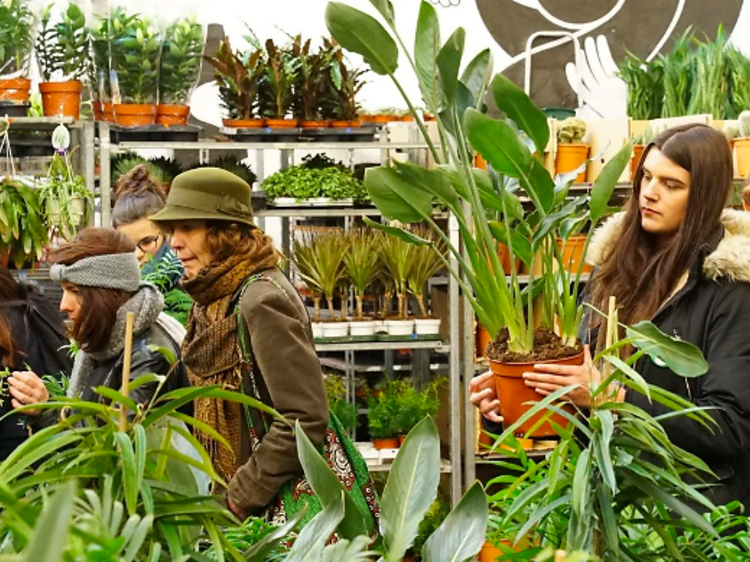 Un gran mercat de plantes des de menys d'1 euro s'instal·la a Barcelona aquest cap de setmana