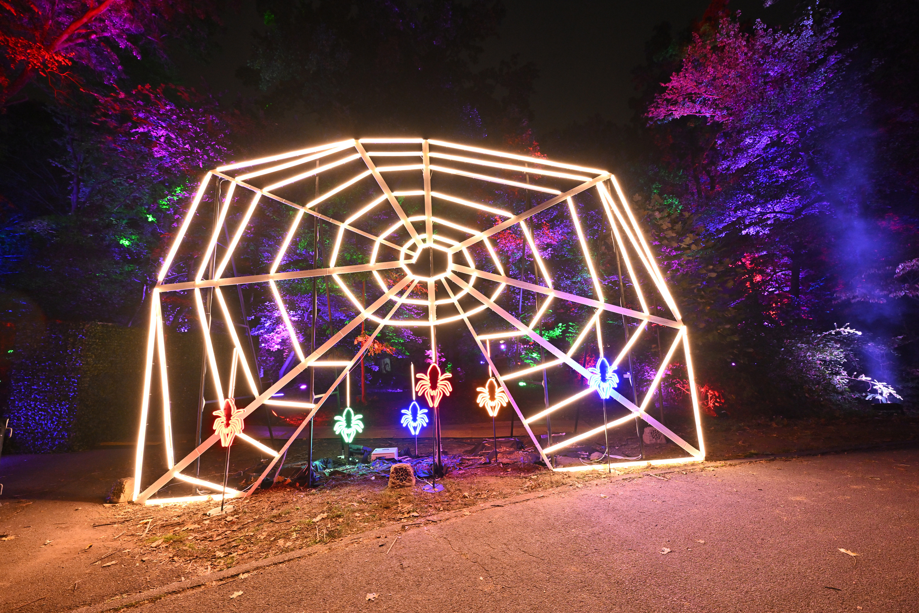 Tim Burton light trail at New York Botanical Garden