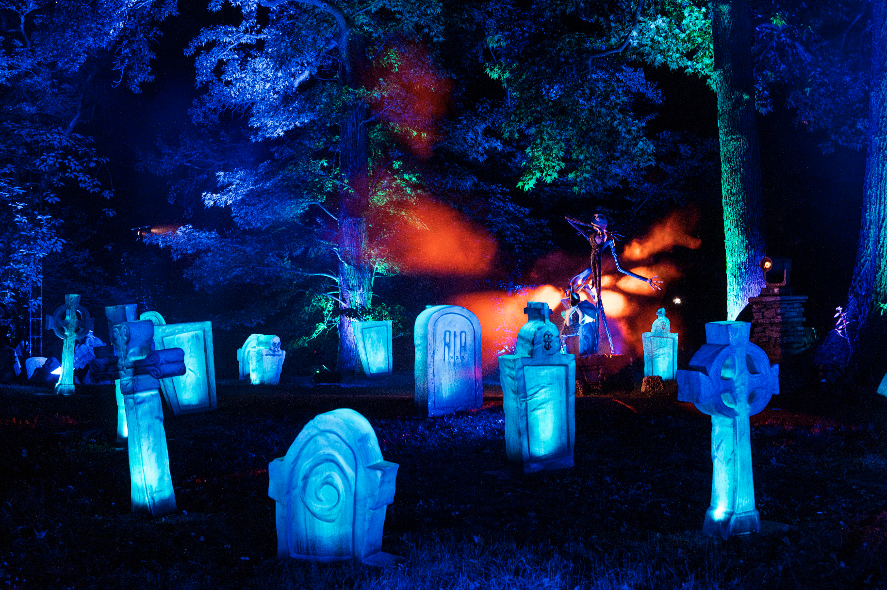 Tim Burton light trail at New York Botanical Garden