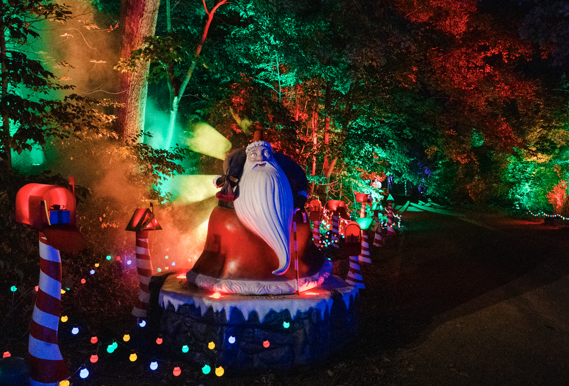 Tim Burton light trail at New York Botanical Garden